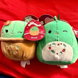 Squishmallows Cactus Valentines set. NWT